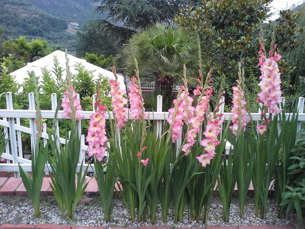 B&B Claro De Luna Tovo San Giacomo Номер фото